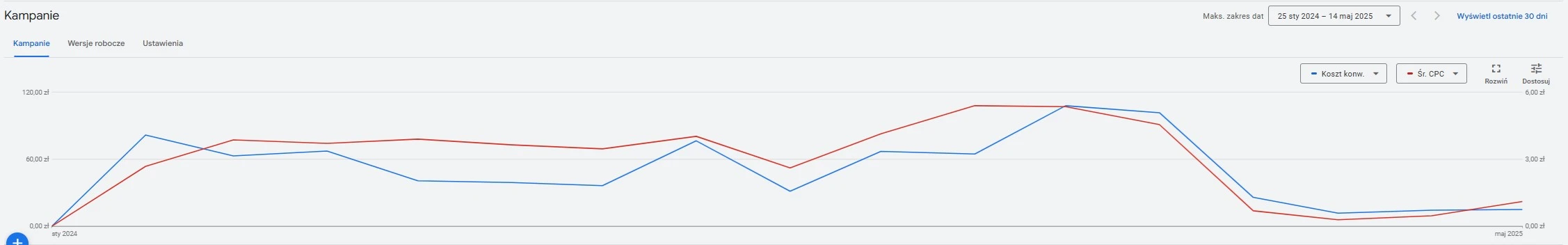 Case Study Google Ads Kontenery 3