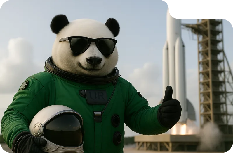 Pozycjonowanie-stron-pandaseo